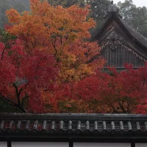 山本 学作品 蹴上・南禅寺