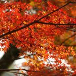 永源寺