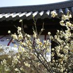 勧修寺