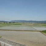 巨椋池跡
