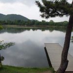 大覚寺大沢池
