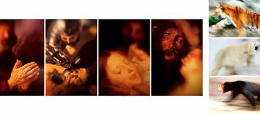 組写真イメージ