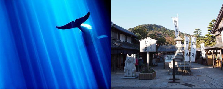 撮影ツアー