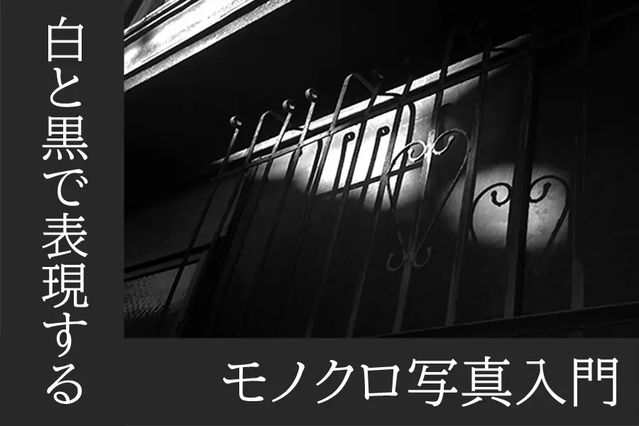【白と黒で表現する】モノクロ写真入門①