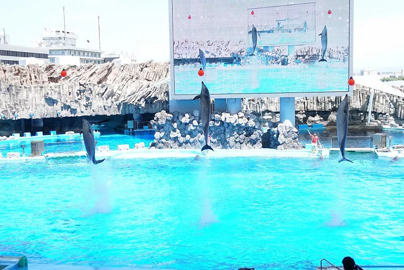 名古屋撮影スポット 名古屋港水族館編