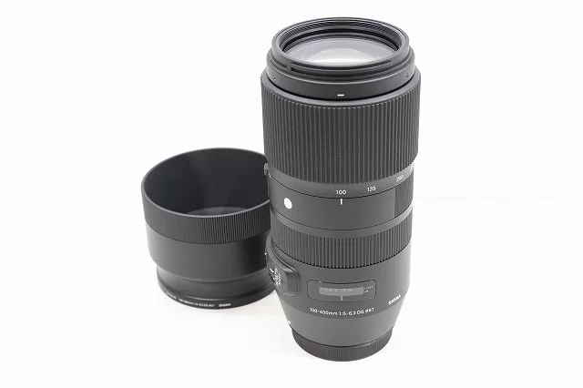 【作例付き】SIGMA 100-400mm F5-6.3 DG OS HSM 使用レビュー