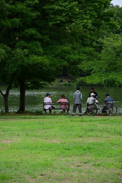撮影地情報 大阪府枚方市 山田池公園 花や野鳥撮影が楽しめる広々とした公園