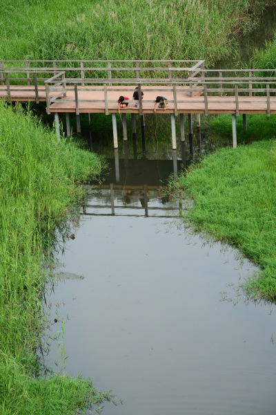 山田池公園7