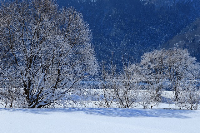 撮影地情報 滋賀県余呉湖の雪景色