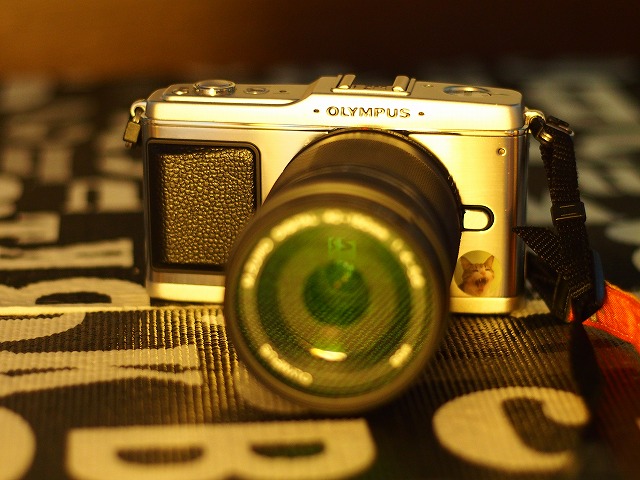 オリンパスE-P1カメラ