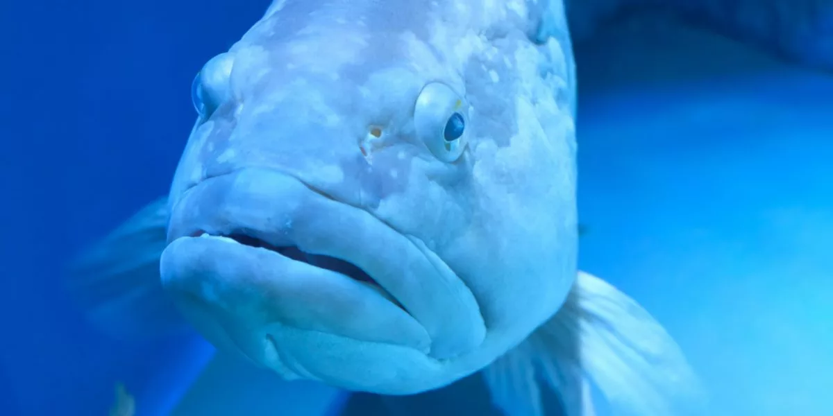 撮影地情報 名古屋港水族館に行ってきました カメラ買取 販売専門店のナニワグループ