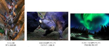 富士コン入賞作品上映会