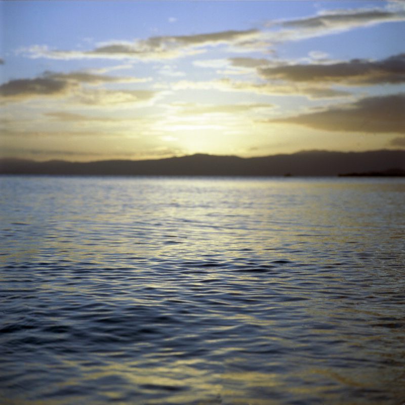 TELE-Rolleiflex PORTRA400
