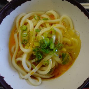 【作例付き撮影地情報】 幻想的な光の世界へ 香川県「レオマ光ワールド」