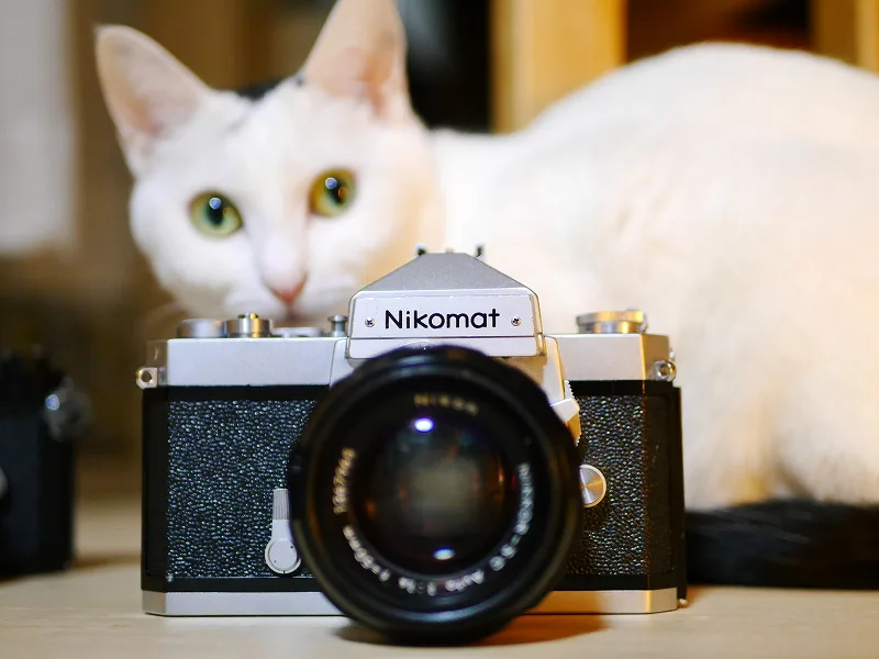 Nikomat EL+NIKKOR50mmレンズ　フィルム一眼レフカメラ