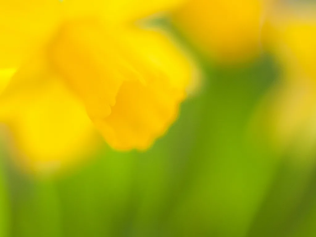 手元にある唯一の名レンズ(?)オリンパス ZUIKO AUTO MACRO 手元にある唯一の名レンズ(?)オリンパス ZUIKO AUTO MACRO