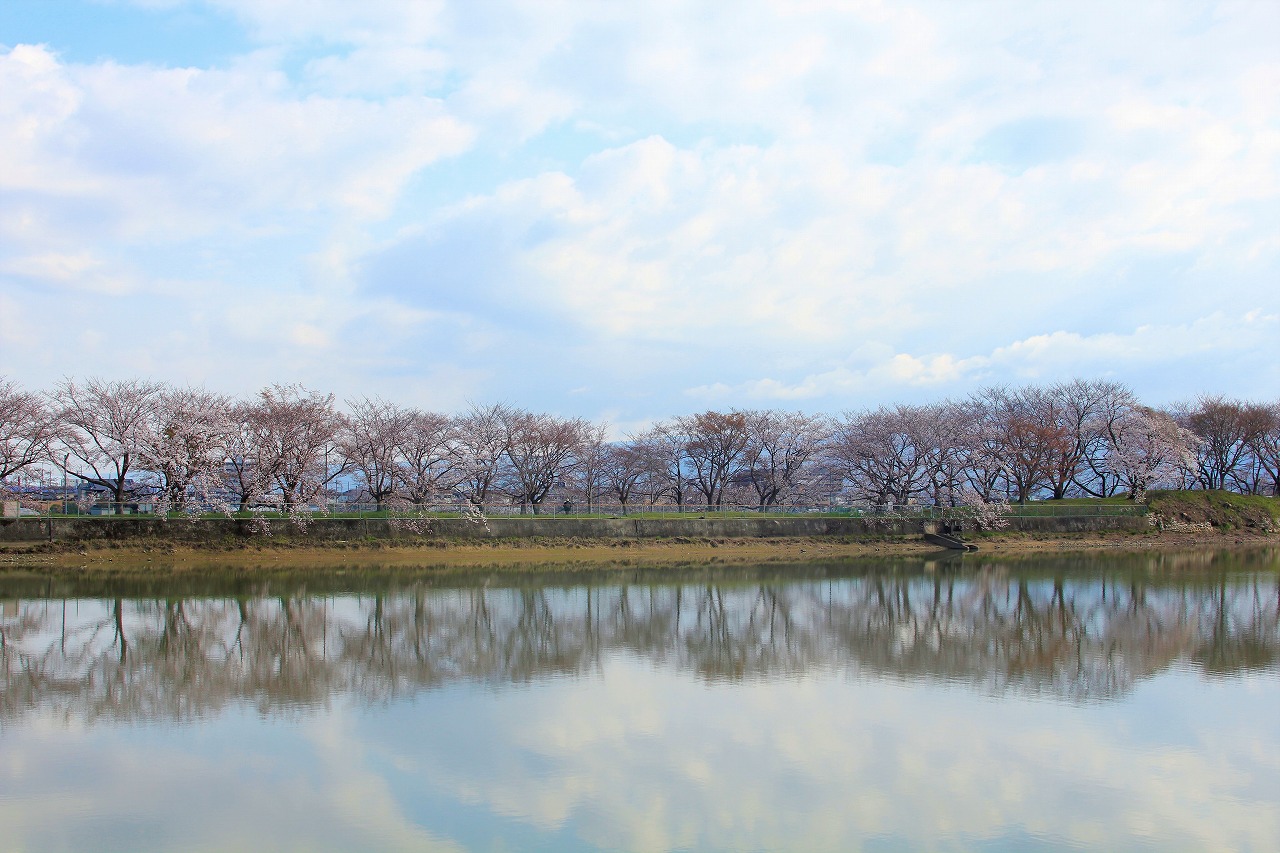 【作例付き撮影地情報】 桜花爛漫・桜の撮影スポット「奈良県編」