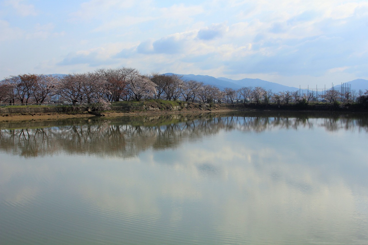 【作例付き撮影地情報】 桜花爛漫・桜の撮影スポット「奈良県編」