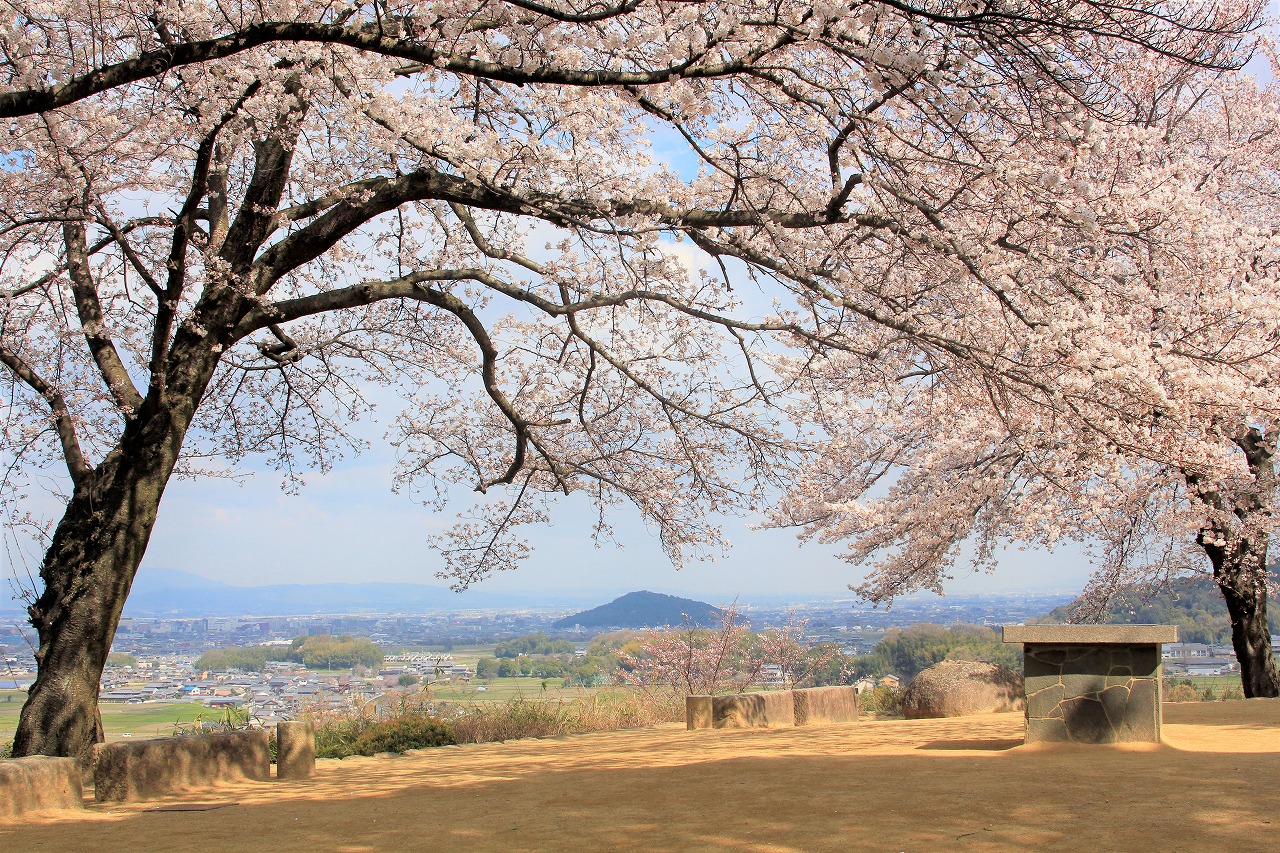 【作例付き撮影地情報】 桜花爛漫・桜の撮影スポット「奈良県編」