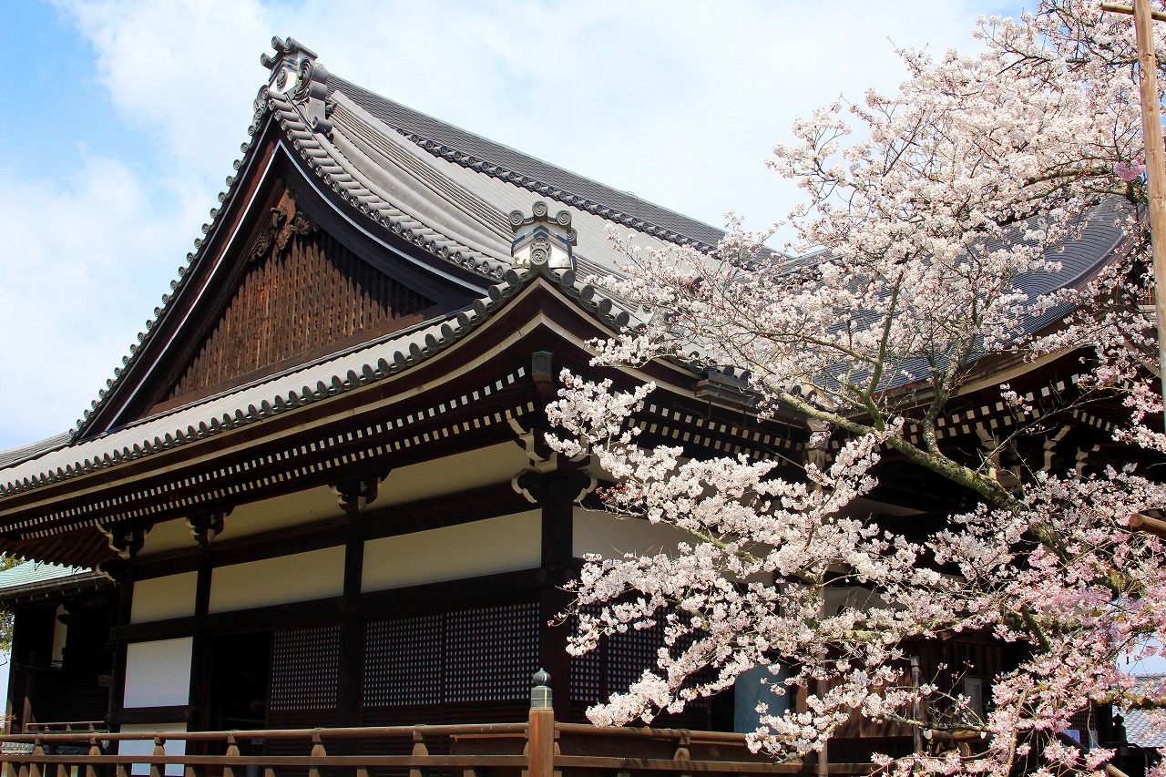 【作例付き撮影地情報】 桜花爛漫・桜の撮影スポット「奈良県編」