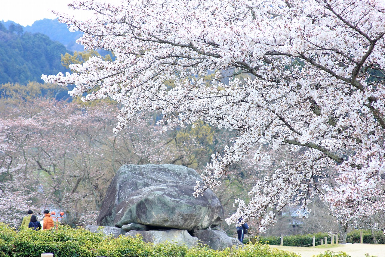 【作例付き撮影地情報】 桜花爛漫・桜の撮影スポット「奈良県編」