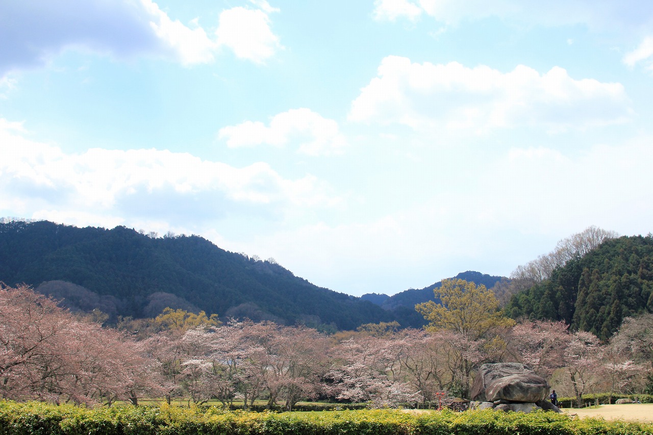 【作例付き撮影地情報】 桜花爛漫・桜の撮影スポット「奈良県編」