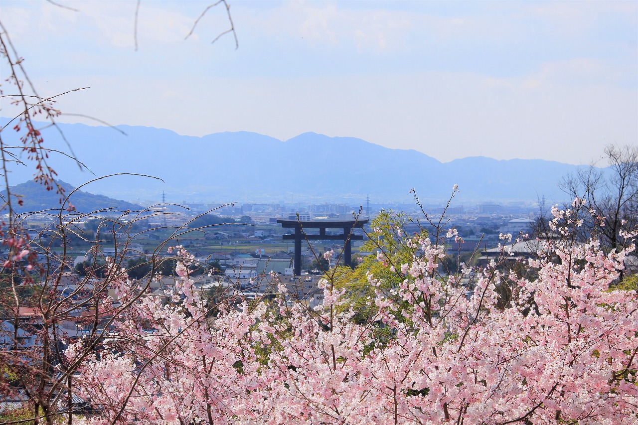 【作例付き撮影地情報】 桜花爛漫・桜の撮影スポット「奈良県編」