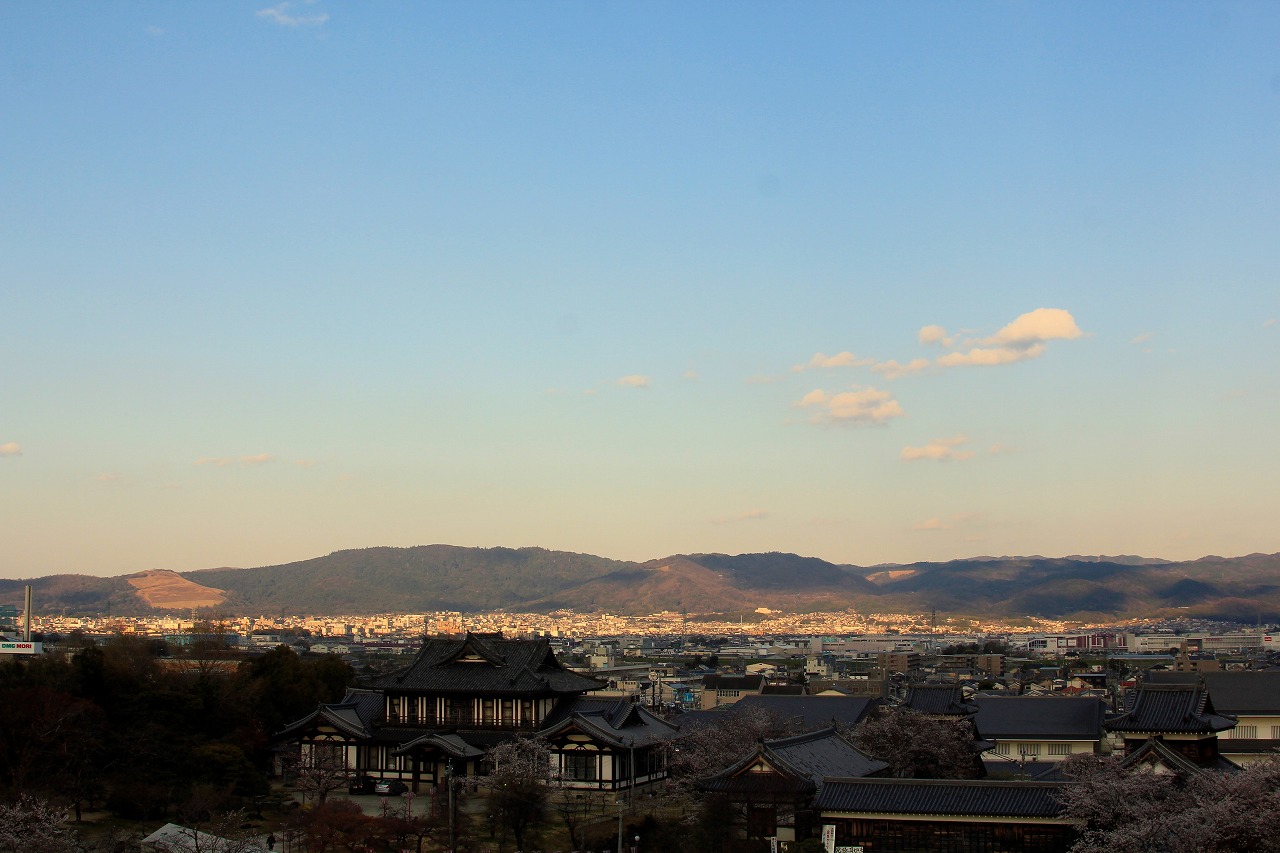 【作例付き撮影地情報】 桜花爛漫・桜の撮影スポット「奈良県編」