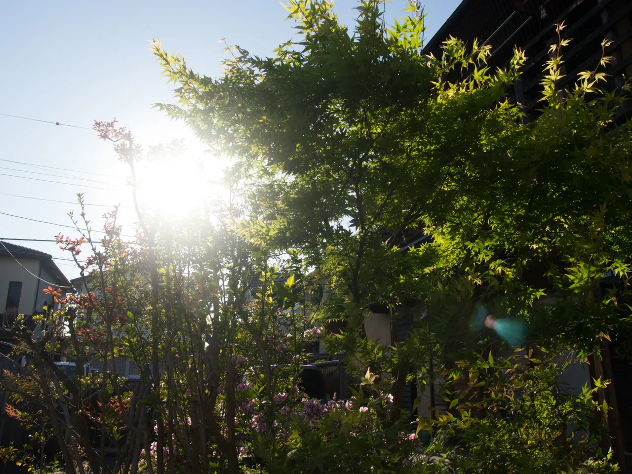 パナソニック LEICA DG SUMMILUX 15mm/F1.7 ASPH.