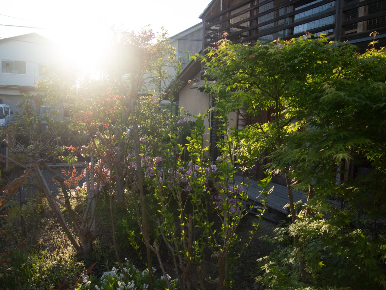 パナソニック LEICA DG SUMMILUX 15mm / F1.7 ASPH.