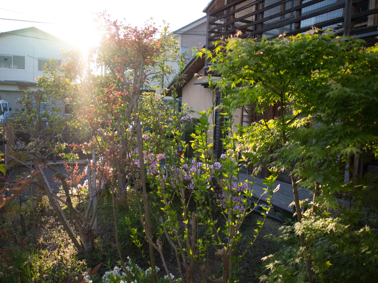 パナソニック LEICA DG SUMMILUX 15mm / F1.7 ASPH.