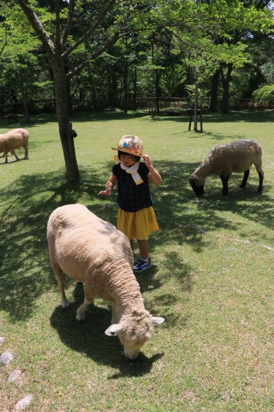 【作例付き撮影地情報】 神戸の奥座敷「有馬・六甲」