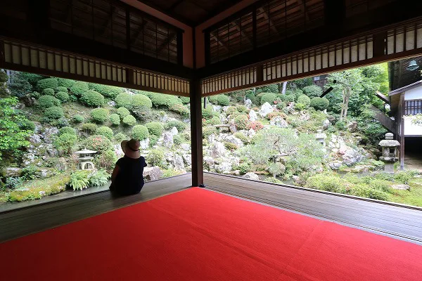【作例付き撮影地情報】 京都の紫陽花を撮る「楊谷寺・善峰寺」