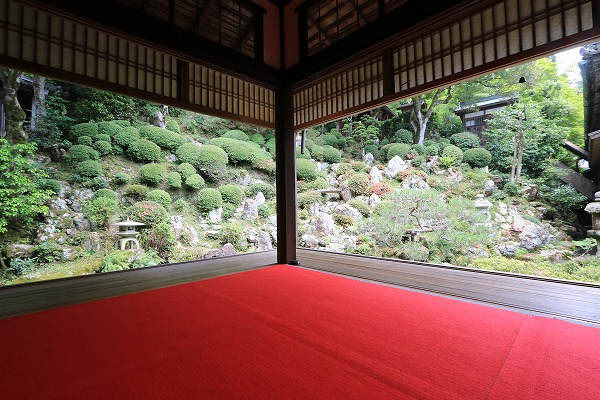 【作例付き撮影地情報】 京都の紫陽花を撮る「楊谷寺・善峰寺」