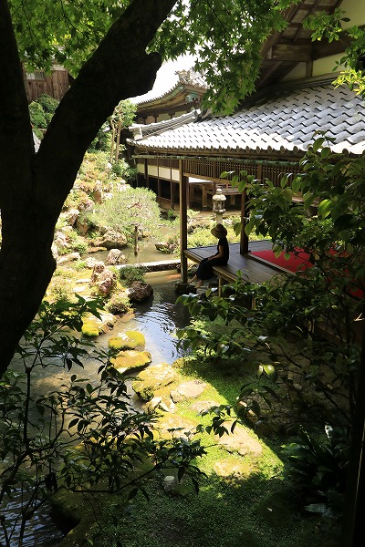 【作例付き撮影地情報】 京都の紫陽花を撮る「楊谷寺・善峰寺」