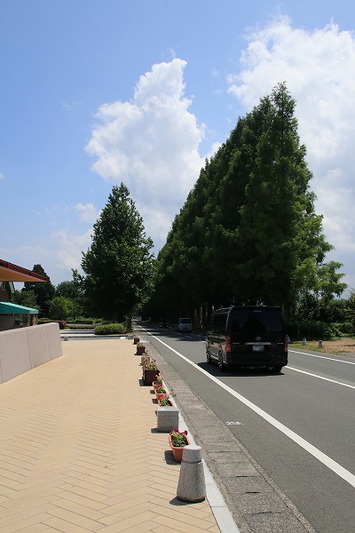 【作例付き撮影地情報】 琵琶湖の西北「滋賀県・高島」の夏