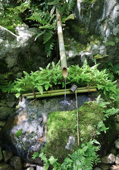 【作例付き撮影地情報】 山陰の魅力あふれる「鳥取・島根」