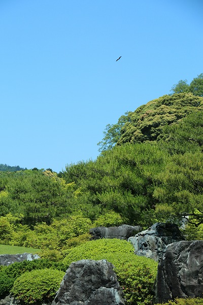 【作例付き撮影地情報】 山陰の魅力あふれる「鳥取・島根」