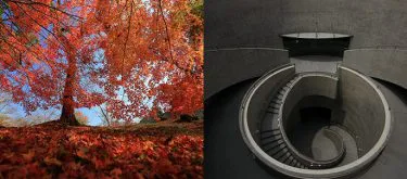 写真家の撮影見本