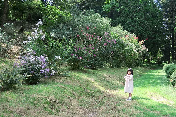 【作例付き撮影地情報】 森の植物園「大阪市立大学理学部附属植物園」