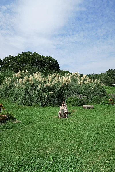 【作例付き撮影地情報】 森の植物園「大阪市立大学理学部附属植物園」