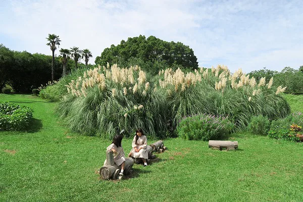 作例付き撮影地情報 森の植物園 大阪市立大学理学部付属植物園