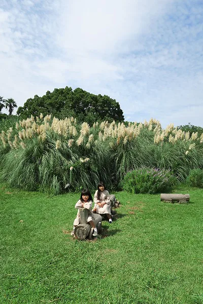【作例付き撮影地情報】 森の植物園「大阪市立大学理学部附属植物園」