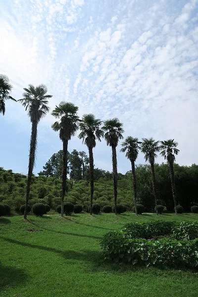 【作例付き撮影地情報】 森の植物園「大阪市立大学理学部附属植物園」