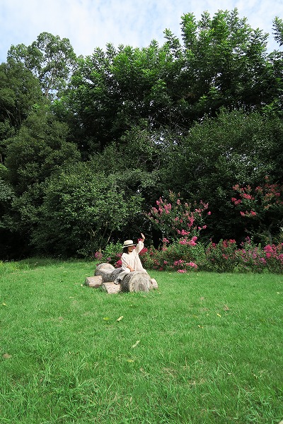 【作例付き撮影地情報】 森の植物園「大阪市立大学理学部附属植物園」