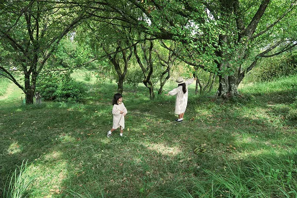 【作例付き撮影地情報】 森の植物園「大阪市立大学理学部附属植物園」