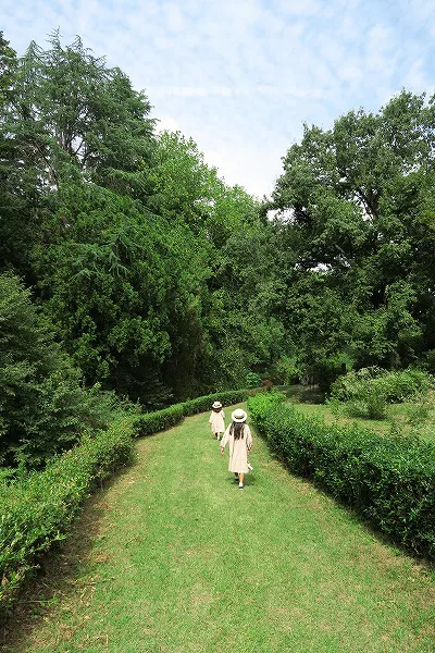 【作例付き撮影地情報】 森の植物園「大阪市立大学理学部附属植物園」