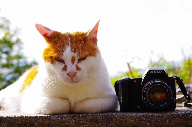 PENTAX スーパータクマー55mm F1.8