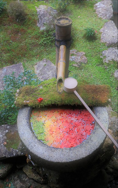 【作例付き撮影地情報】 京都の紅葉を撮る「西山・楊谷寺」