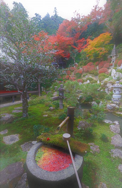 【作例付き撮影地情報】 京都の紅葉を撮る「西山・楊谷寺」